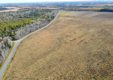 480 Plante Rd, Caribou, ME 04736 - photo 4