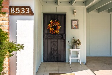 Beverly-5