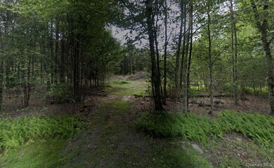 TBD Drake Rd, Neversink, NY 12765 - photo 2