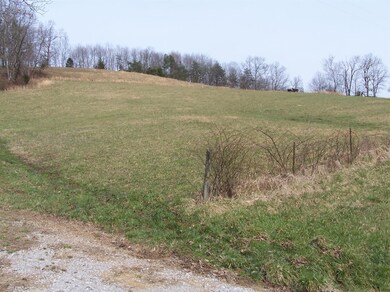 943 Green Hill Welchburg Rd, Annville, KY 40402 - photo 5