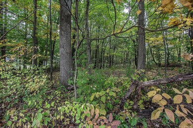 0 Nichols Lane Tract #1