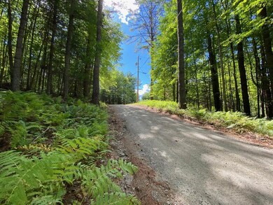 10 Wetherbee Rd, Lyman, NH 03585 - photo 4