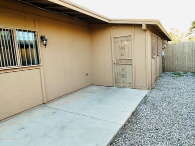 Backyard 3