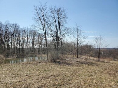 Nearly 8 acres with sizeable pond and mix of clear