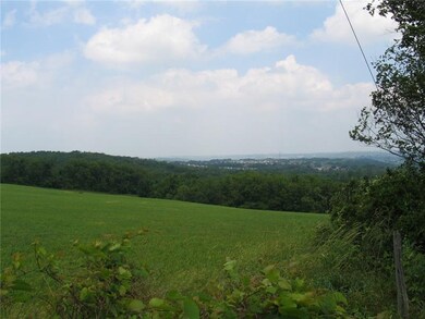 View of downtown from the top of the property