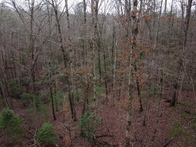 Wooded and seluded