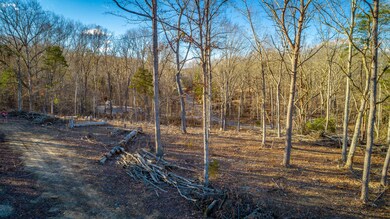 0 Beach Rd unit RTC2986615, Spring City, TN 37381 - photo 2