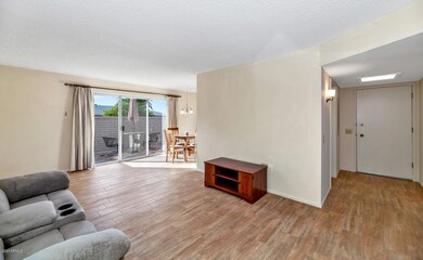 Lots of Natural Light