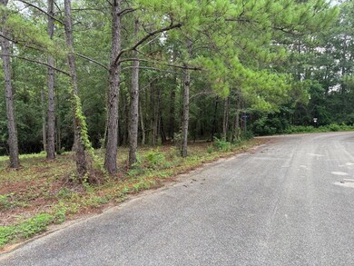 13 Pocahontas Ln, Carriere, MS 39426 - photo 3