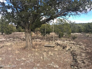 361 Robles, Ash Fork, AZ 86320 - photo 6