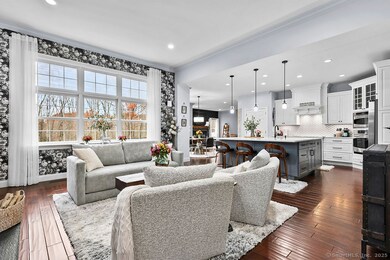 35 Rustle Meadow Ln, Canton, CT 06019 - photo 6