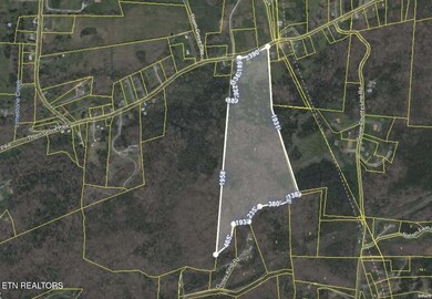 10528 Thorngrove Pike, Strawberry Plains, TN 37871 - photo 4