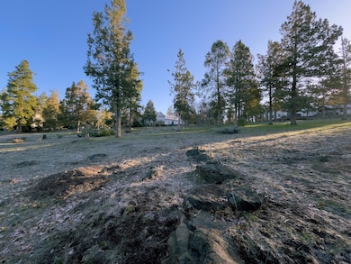 520 Mourning Dove Dr, Running Y Ranch, OR 97601 - photo 7