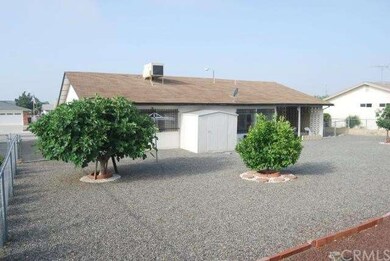 Low Maintenance Back Yard