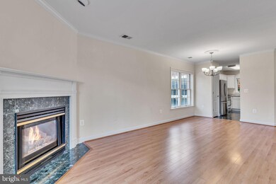 6916 Fairfax Dr unit 100, Arlington, VA 22213 - photo 7
