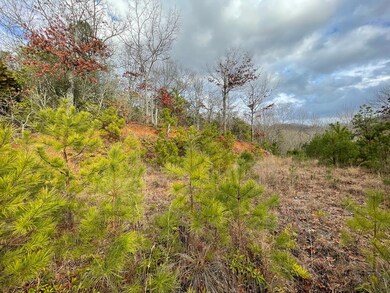 00 Doghobble Dr, Franklin, NC 28734 - photo 7