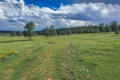 TBD Spring Valley Dr, Florissant, CO 80816 - photo 3