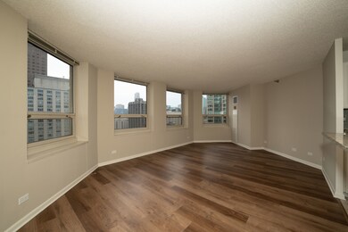 750 N Rush St unit 3203, Chicago, IL 60611 - photo 3