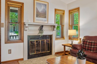 Wood Burning Fireplace