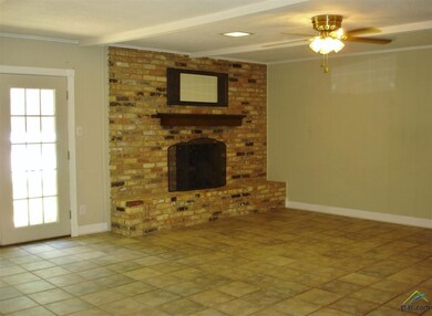 10874 County Road 2206, Tyler, TX 75707 - photo 5