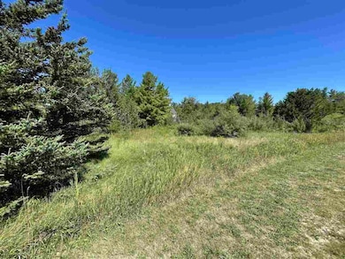 Lot 33 Weislik Ct, Charlevoix, MI 49720 - photo 2