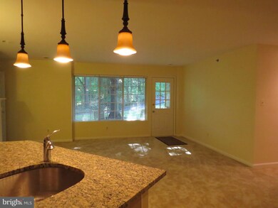 23 Tintern Ct unit 103, Lutherville Timonium, MD 21093 - photo 7