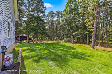 Back Yard - Side view