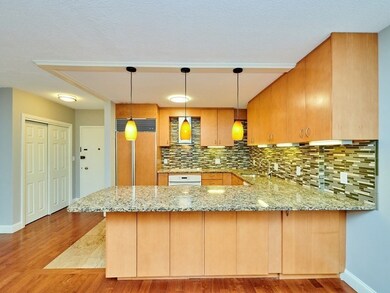 50 Park St unit 26, Brookline, MA 02446 - photo 4