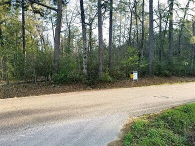 0 Morgan Cemetery Rd, Cleveland, TX 77328 - photo 2