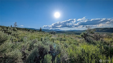 837 C Ellemeham Mountain Rd, Oroville, WA 98844 - photo 5