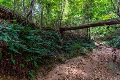 200 Acres Greene 718 and 707 Rd, Paragould, AR 72450 - photo 2