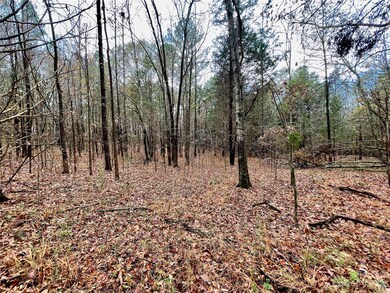 2234 Corinth Rd, Gaffney, SC 29340 - photo 4