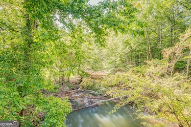 0 Alabama Hwy unit 10590171, Rome, GA 30165 - photo 4