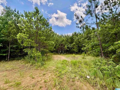 5327 Highway 78 E unit 5327, Irondale, AL 35210 - photo 3