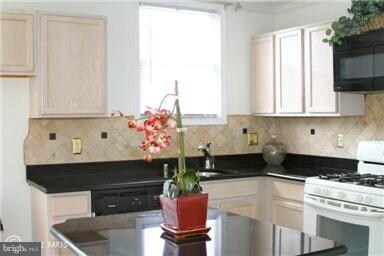 1904 Linden Ave, Baltimore, MD 21217 - photo 6