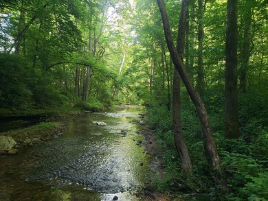 76 AC. Masters Rd, Cookeville, TN 38506 - photo 3