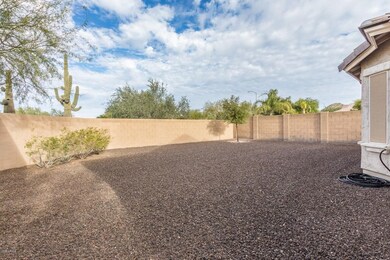 Backyard View