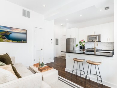 3400 N Greenview Ave unit 3N, Chicago, IL 60657 - photo 3