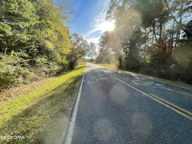 1555 Highway 177a, Bonifay, FL 32425 - photo 6