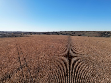 Road 739, Maywood, NE 69038 - photo 5