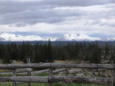 View For You
