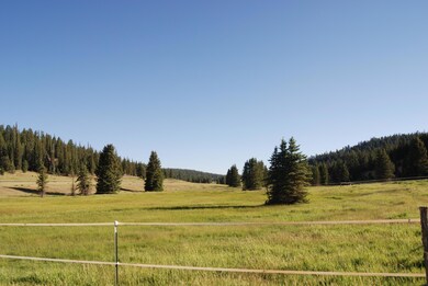 Community Horse Corrals