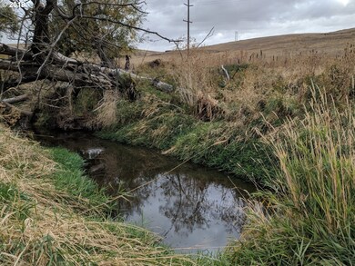Creek