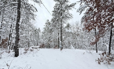 11335 S Broadway St, Bitely, MI 49309 - photo 2