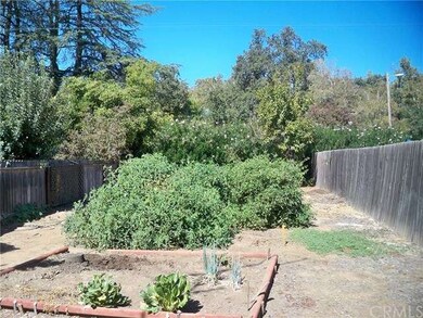 The garden is bigger than life and the trees beyon