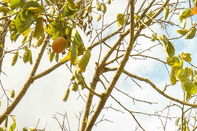 74 Revadee Spears Rd, Crawfordville, FL 32327 - photo 6