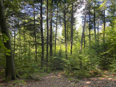 21 Fieldstone Rd, Campton, NH 03223 - photo 3