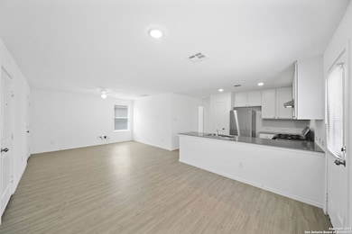 12942 Deep Eddy, Saint Hedwig, TX 78152 - photo 3