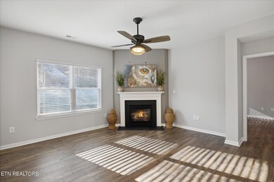 516 Hayley Marie Ln, Knoxville, TN 37920 - photo 5