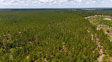 0 Beaver Dam Rd unit 25030817, Cassatt, SC 29032 - photo 6